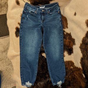 Denizen Levis Size 28 Boyfriend Cut Jeans